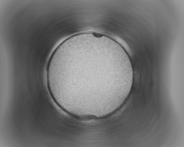 X0000111421476200908241122