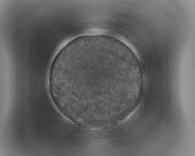 X0000111421477200908241122