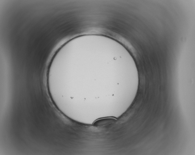 X0000111421480200908241122