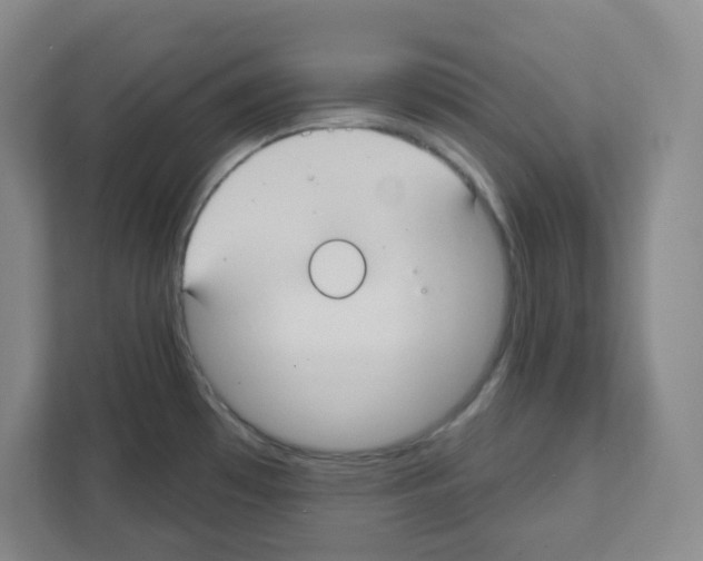 X0000111421481200908241122