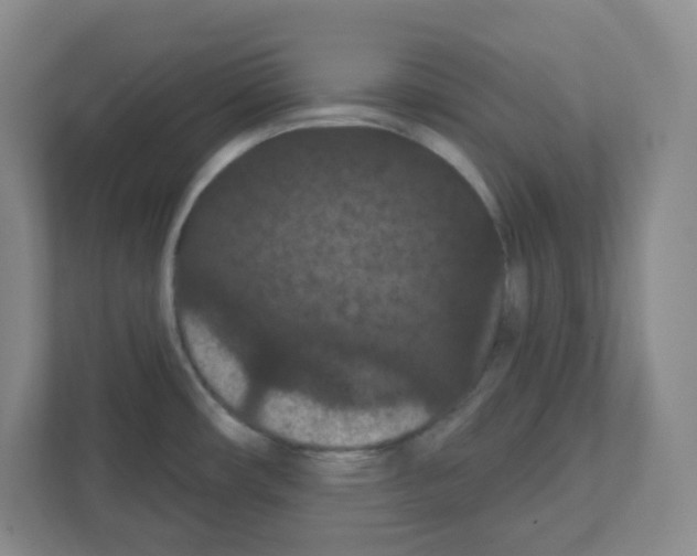 X0000111421482200908241122