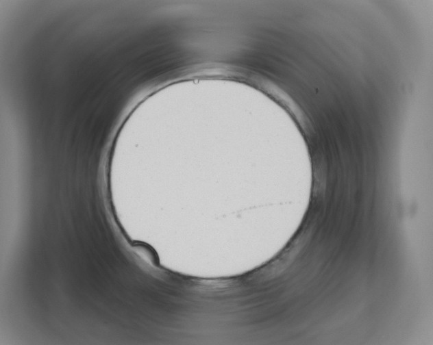 X0000111421483200908241122