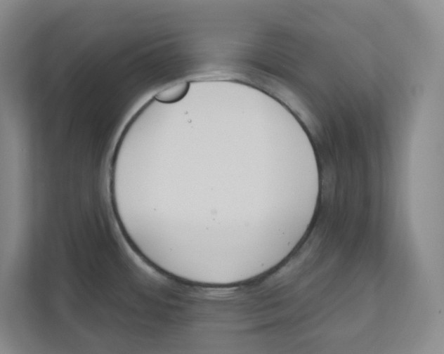 X0000111421484200908241122
