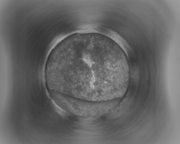 X0000111421485200908241122