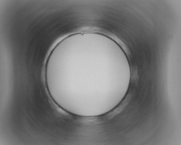 X0000111421486200908241122