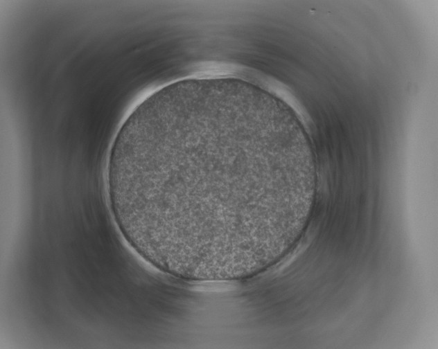 X0000111421487200908241122