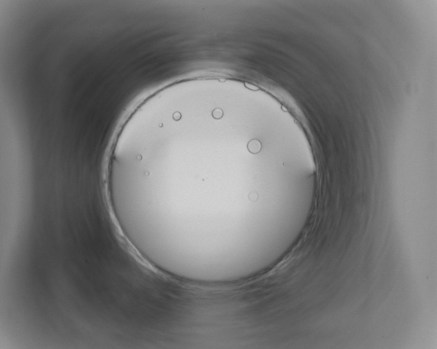 X0000111421488200908241122