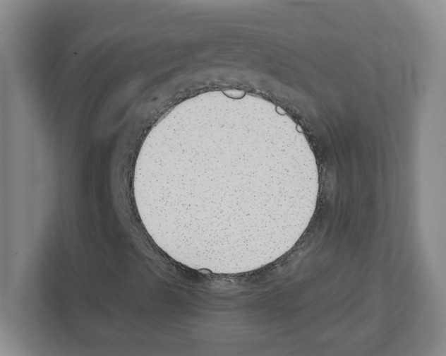 X0000111421489200908241121