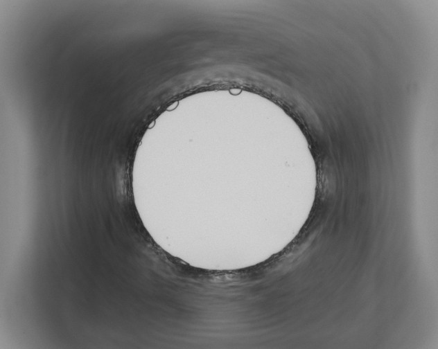 X0000111421490200908241121