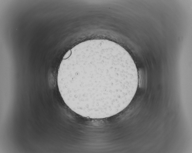 X0000111421491200908241121