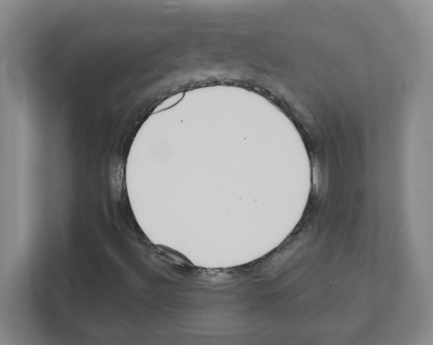 X0000111421492200908241121