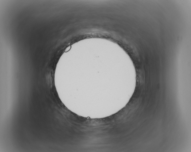 X0000111421493200908241121