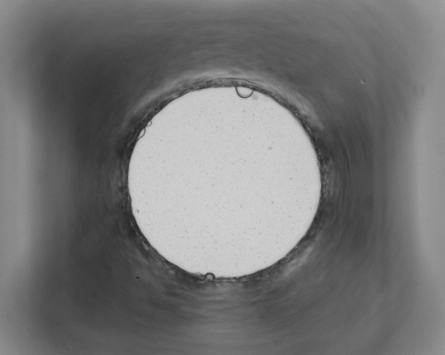 X0000111421494200908241121