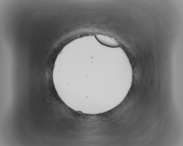 X0000111421495200908241121