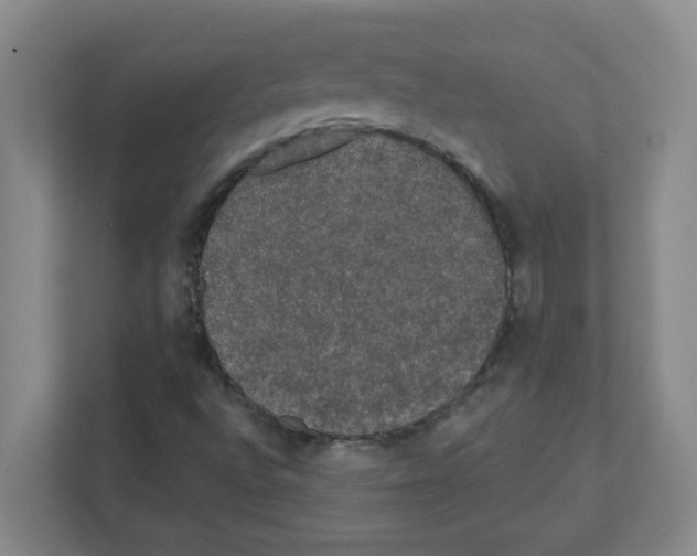 X0000111421496200908241121