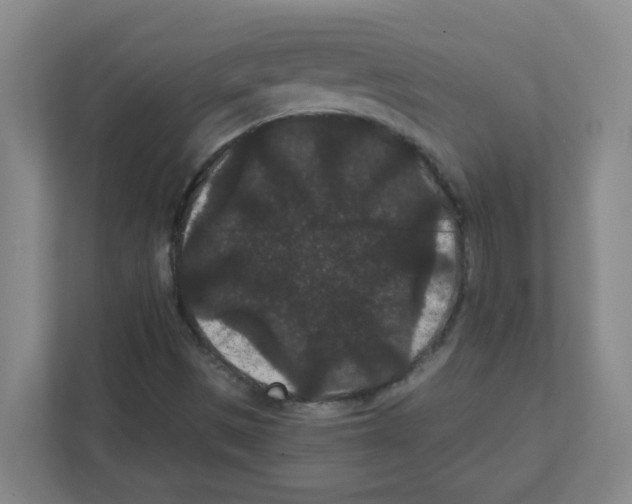 X0000111421497200908241121