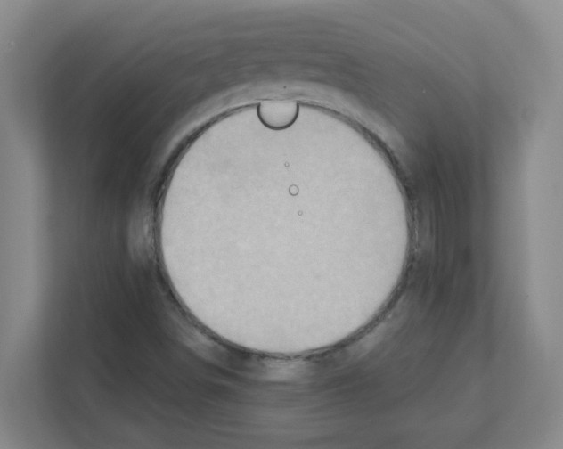 X0000111421498200908241121