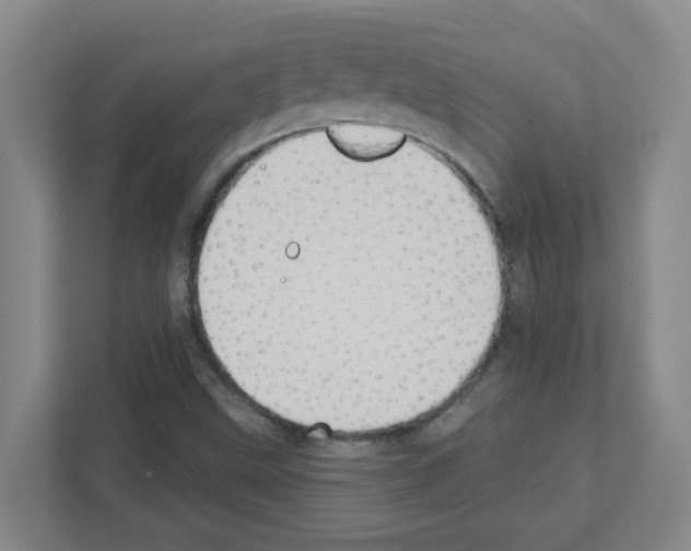 X0000111421499200908241121