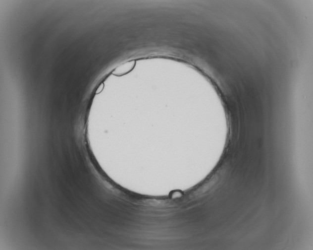 X0000111421500200908241121