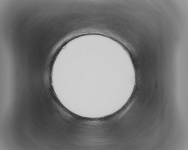 X0000111421502200908241121