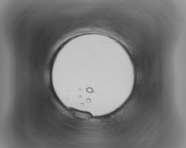 X0000111421503200908241121