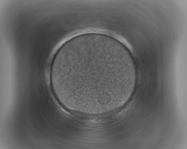 X0000111421504200908241121