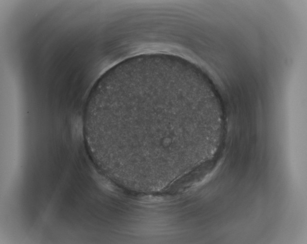 X0000111421505200908241121