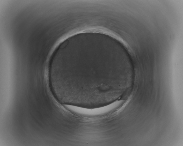 X0000111421506200908241121
