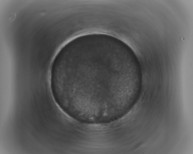 X0000111421508200908241121