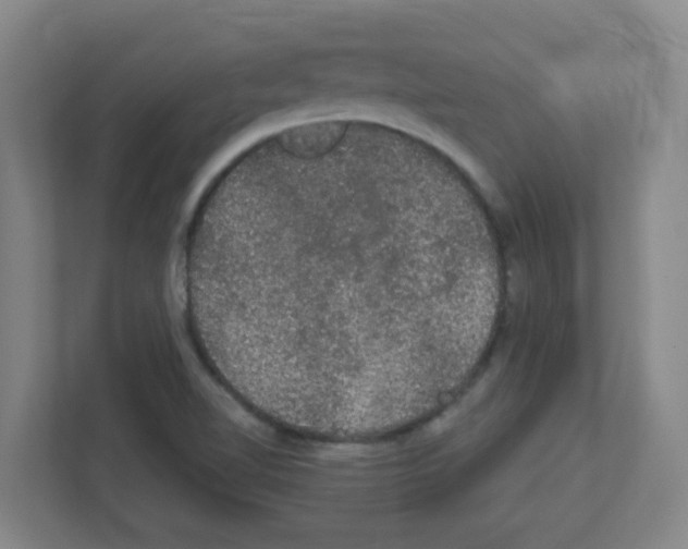 X0000111421510200908241121