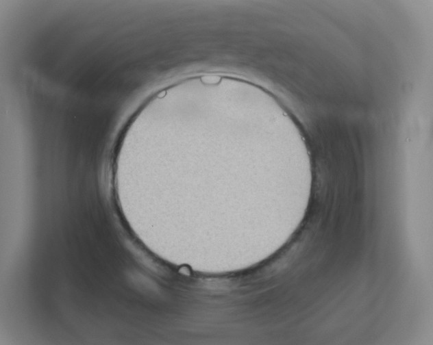 X0000111421511200908241121