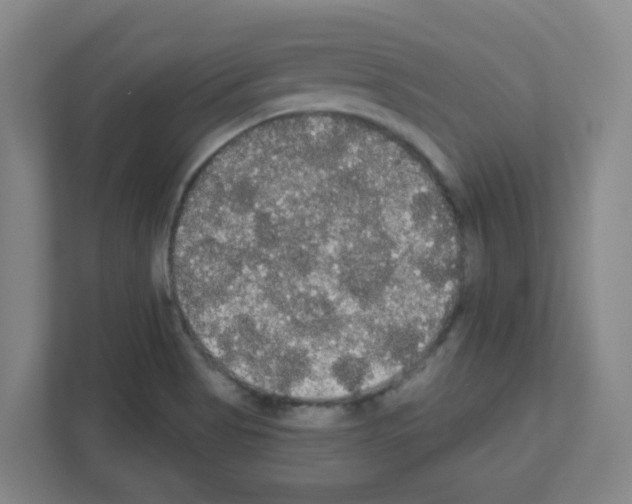 X0000111421513200908241122