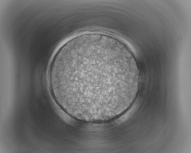 X0000111421514200908241122
