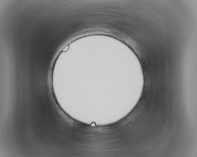 X0000111421516200908241122