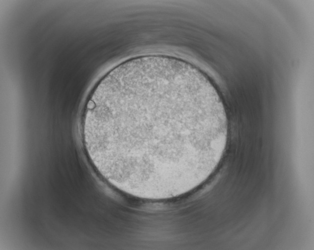 X0000111421517200908241122