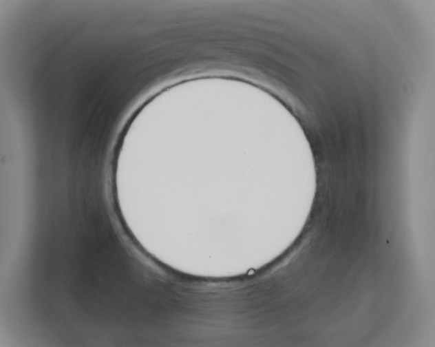 X0000111421518200908241122