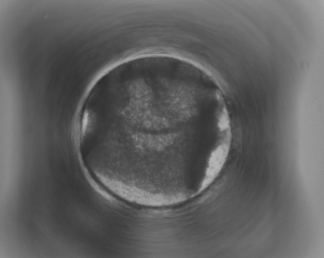 X0000111421519200908241122