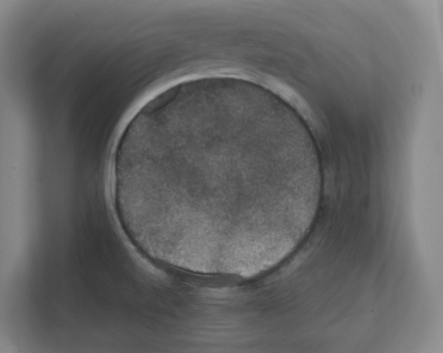 X0000111421520200908241122