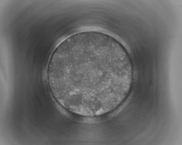 X0000111421521200908241122