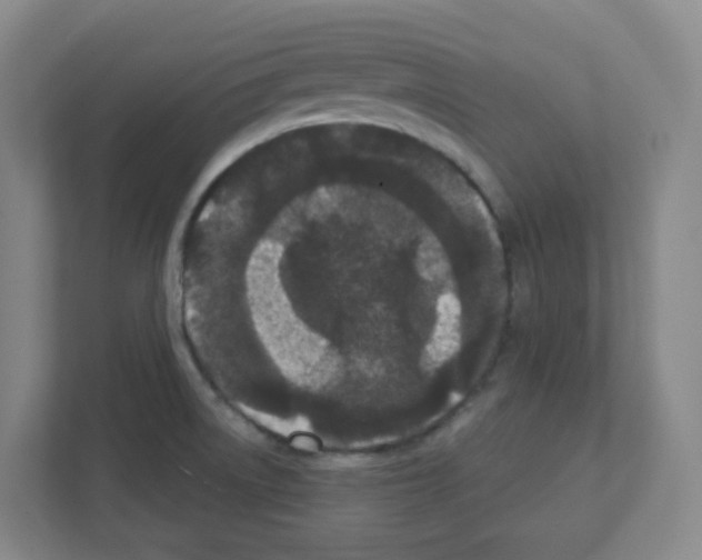 X0000111421522200908241122