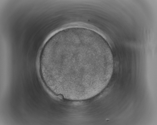 X0000111421523200908241122