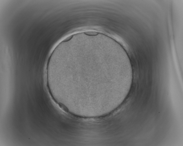 X0000111421524200908241122