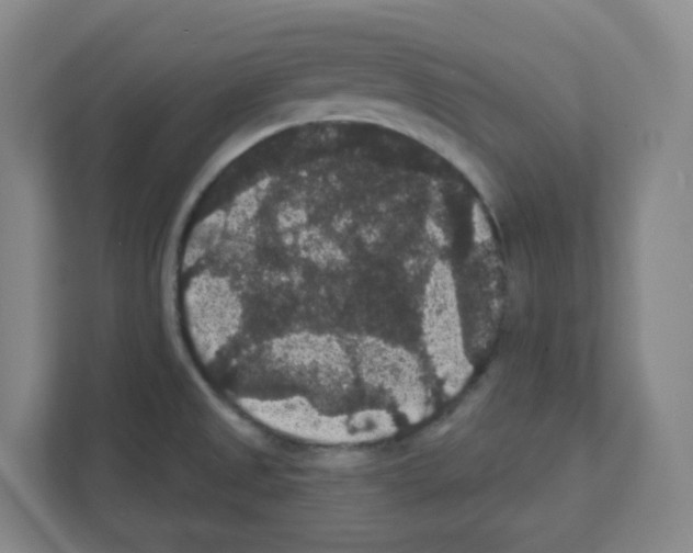 X0000111421525200908241122
