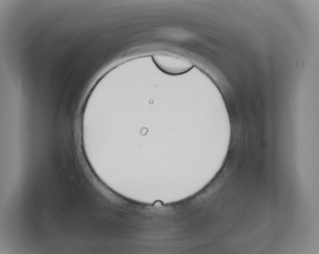 X0000111421526200908241122