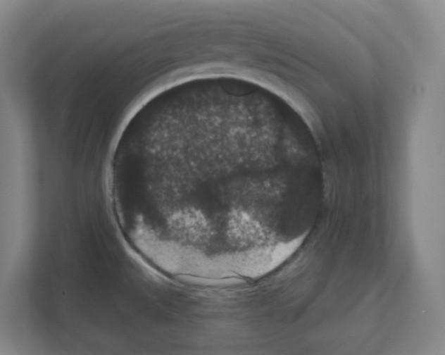 X0000111421527200908241122