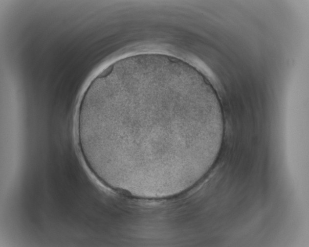 X0000111421528200908241122
