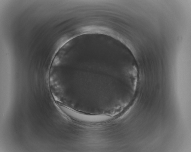 X0000111421529200908241122