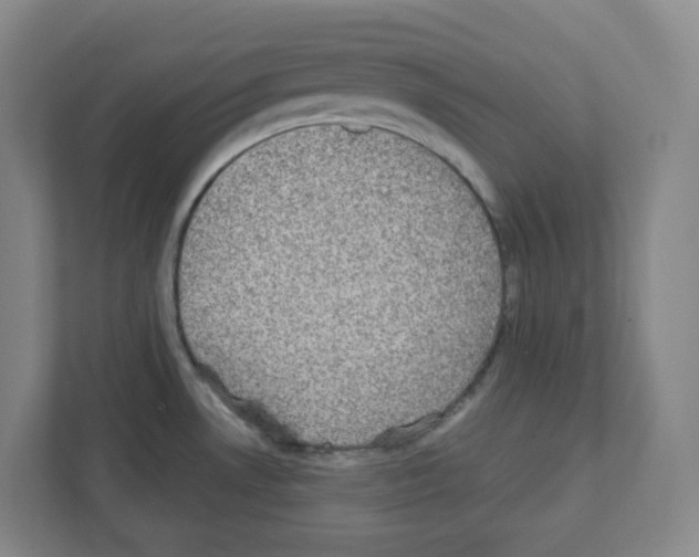 X0000111421530200908241122