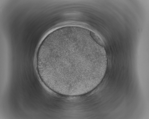 X0000111421531200908241122