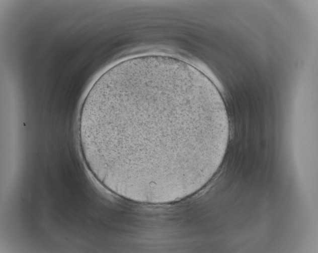 X0000111421532200908241122